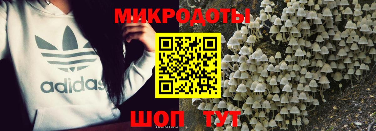 Псилоцибиновые грибы Psilocybine cubensis  Галлюциногенные грибы Cubensis  Вход с VPN  Кизляр 